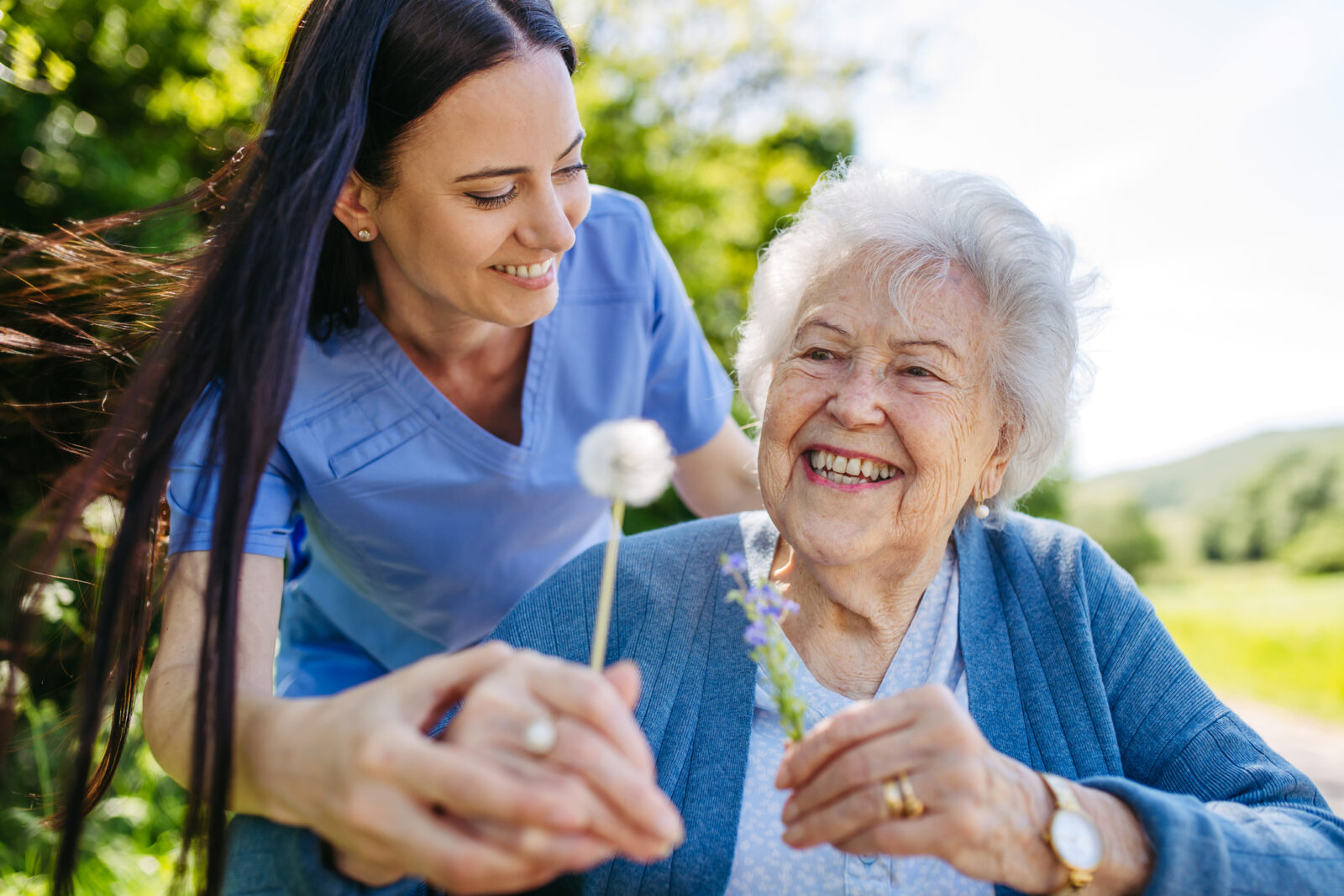 Caregiver and senior woman in wheelchair holding dandelion, picking wild flowers.